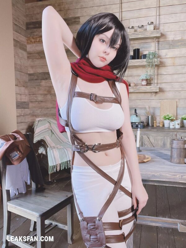 Helly Valentine - Mikasa Ackerman (Shingeki No Kyojin) - 22