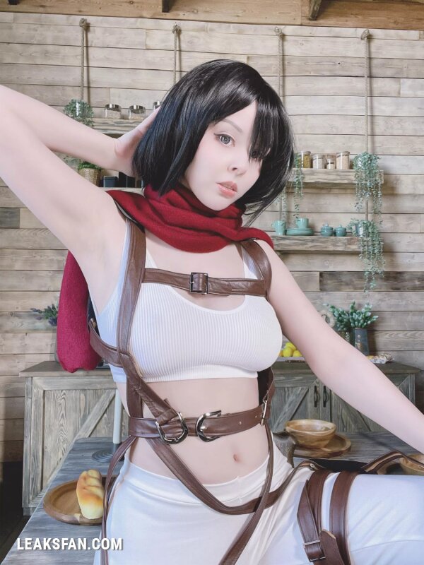 Helly Valentine - Mikasa Ackerman (Shingeki No Kyojin) - 26