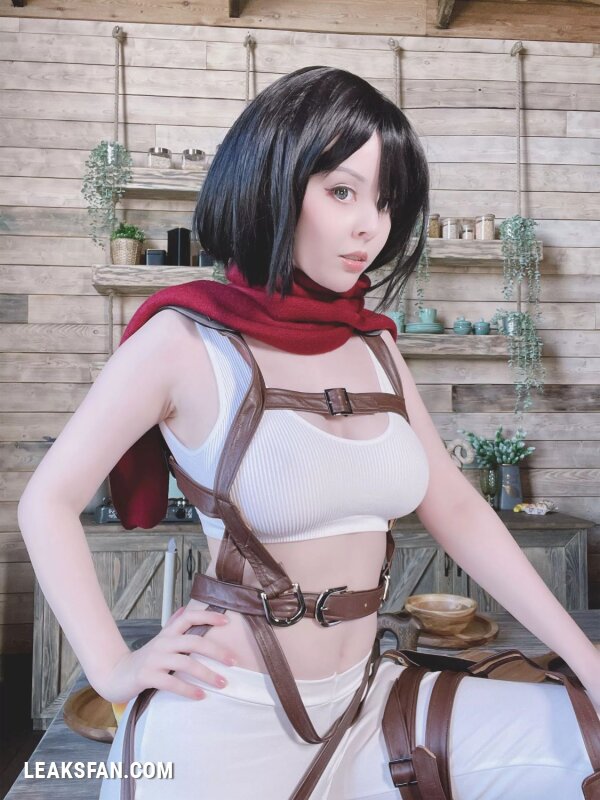 Helly Valentine - Mikasa Ackerman (Shingeki No Kyojin) - 27