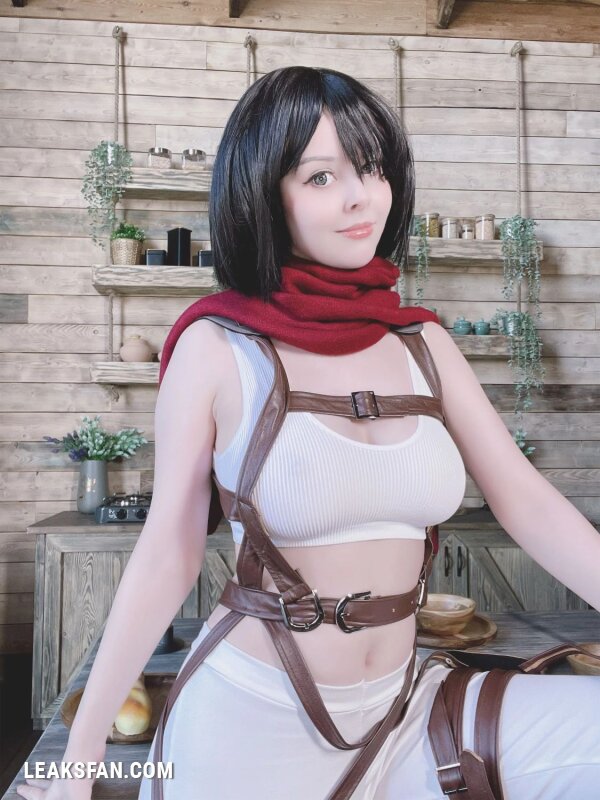 Helly Valentine - Mikasa Ackerman (Shingeki No Kyojin) - 2