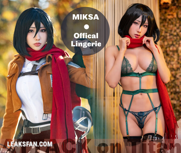 Hane Ame - Mikasa (Shingeki No Kyojin) - 0