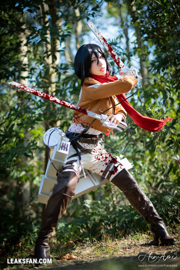 Hane Ame - Mikasa (Shingeki No Kyojin) - 2