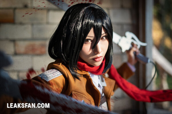 Hane Ame - Mikasa (Shingeki No Kyojin) - 2